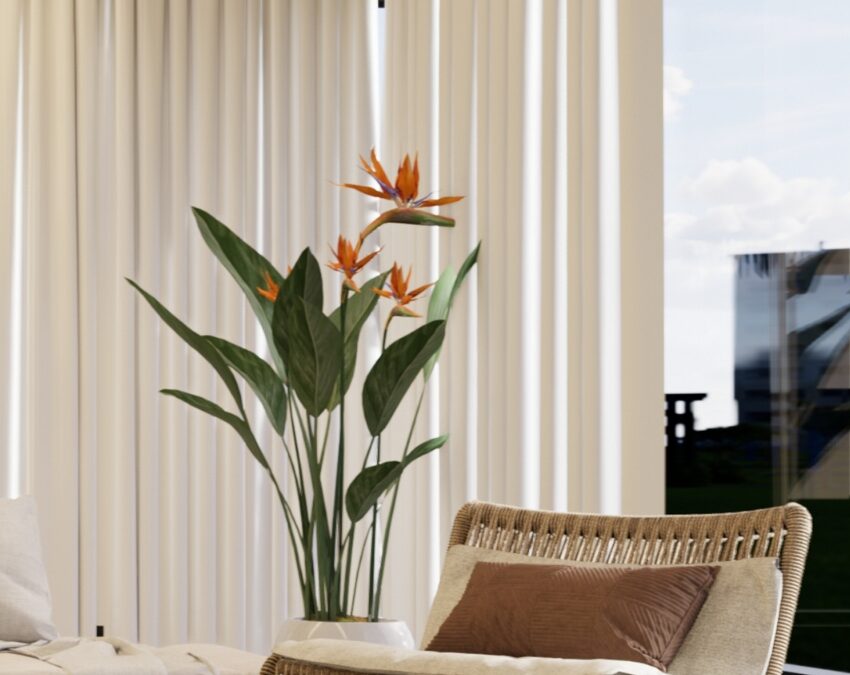 Untitled design (83)