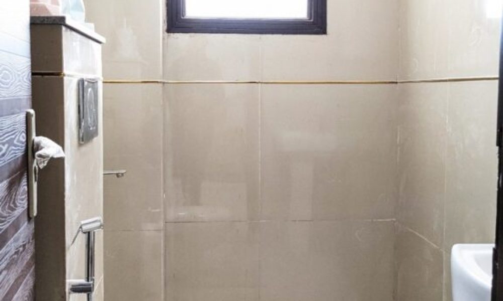 Aravalli-Koral-2-2-576x1024